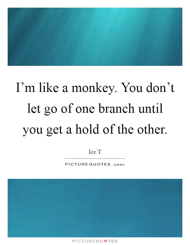 I'm like a monkey. You don't let go of one branch until you get a hold of the other. Picture Quote #1