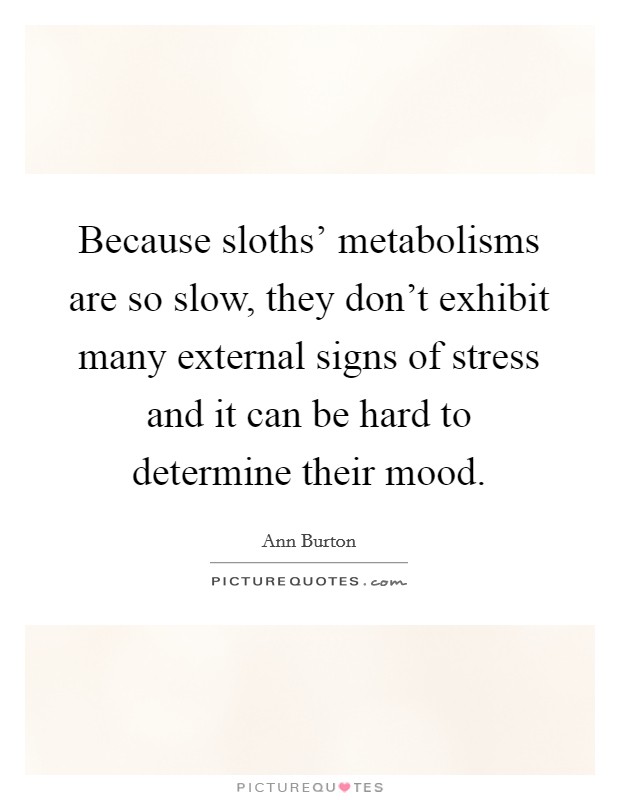 Because sloths' metabolisms are so slow, they don't exhibit many external signs of stress and it can be hard to determine their mood. Picture Quote #1
