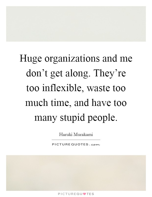 Huge organizations and me don't get along. They're too inflexible, waste too much time, and have too many stupid people. Picture Quote #1