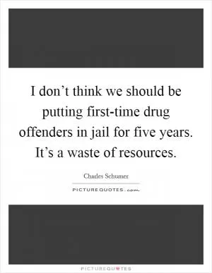 I don’t think we should be putting first-time drug offenders in jail for five years. It’s a waste of resources Picture Quote #1