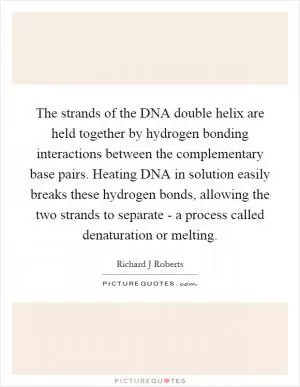 The strands of the DNA double helix are held together by hydrogen bonding interactions between the complementary base pairs. Heating DNA in solution easily breaks these hydrogen bonds, allowing the two strands to separate - a process called denaturation or melting Picture Quote #1