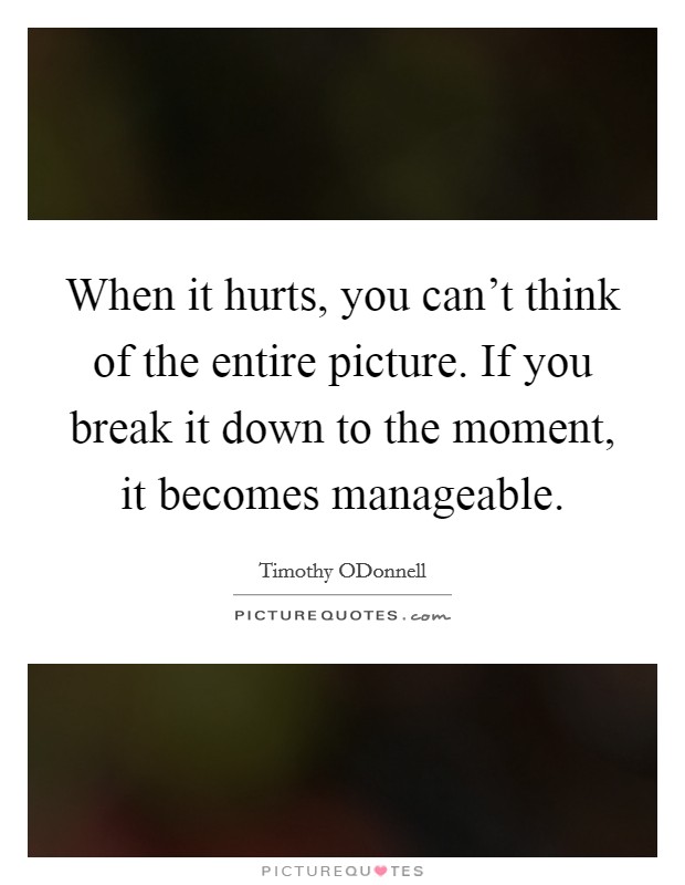 When it hurts, you can't think of the entire picture. If you break it down to the moment, it becomes manageable. Picture Quote #1