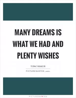 Many dreams is what we had and plenty wishes Picture Quote #1