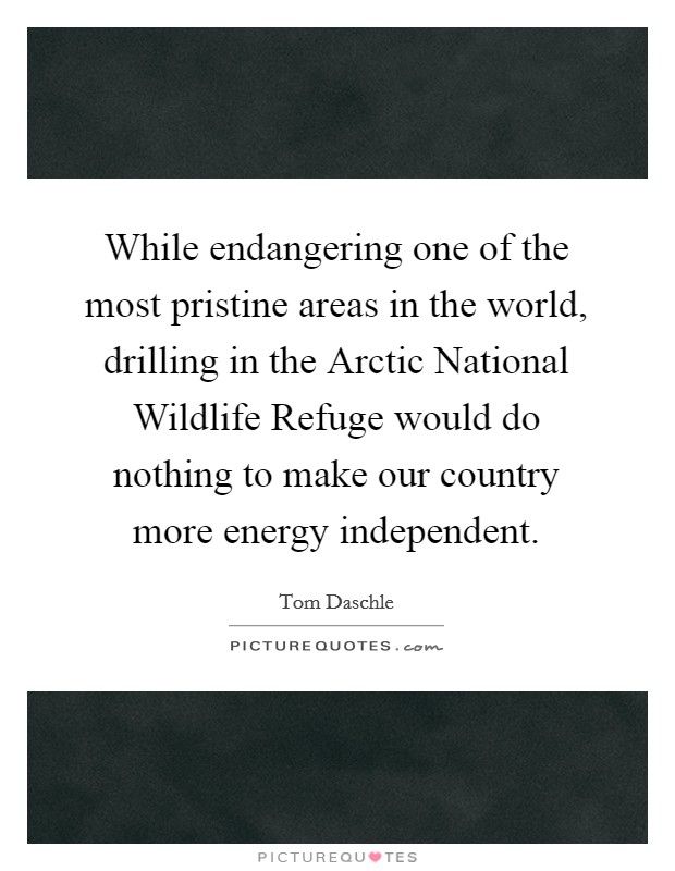 While endangering one of the most pristine areas in the world, drilling in the Arctic National Wildlife Refuge would do nothing to make our country more energy independent. Picture Quote #1