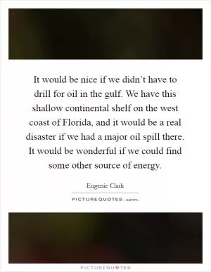 It would be nice if we didn’t have to drill for oil in the gulf. We have this shallow continental shelf on the west coast of Florida, and it would be a real disaster if we had a major oil spill there. It would be wonderful if we could find some other source of energy Picture Quote #1