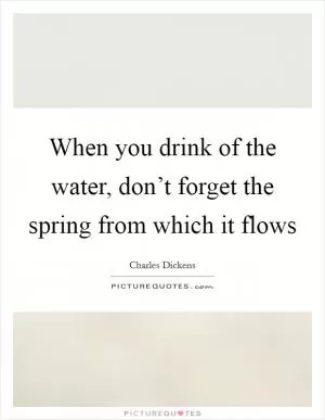 When you drink of the water, don’t forget the spring from which it flows Picture Quote #1