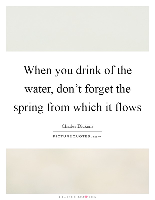 When you drink of the water, don't forget the spring from which it flows Picture Quote #1