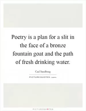 Poetry is a plan for a slit in the face of a bronze fountain goat and the path of fresh drinking water Picture Quote #1