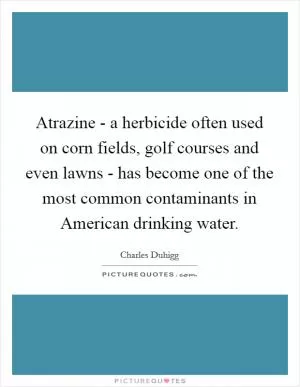 Atrazine - a herbicide often used on corn fields, golf courses and even lawns - has become one of the most common contaminants in American drinking water Picture Quote #1