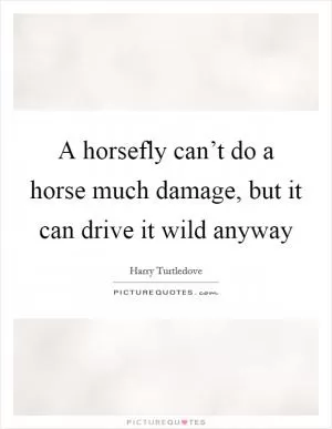 A horsefly can’t do a horse much damage, but it can drive it wild anyway Picture Quote #1