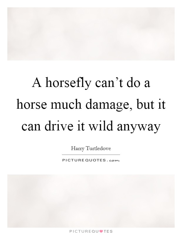 A horsefly can't do a horse much damage, but it can drive it wild anyway Picture Quote #1