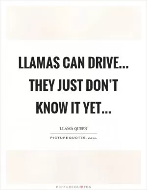 Llamas can drive... they just don’t know it yet Picture Quote #1