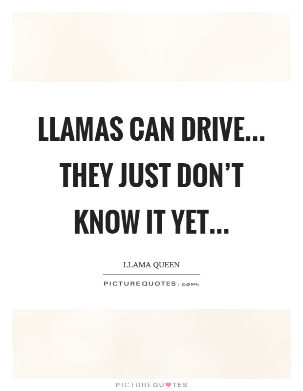 Llamas can drive... they just don't know it yet... Picture Quote #1