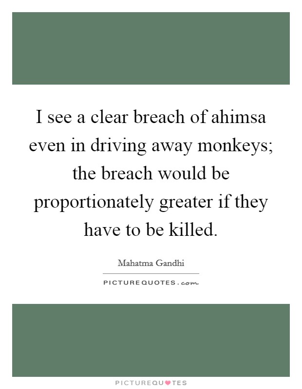 I see a clear breach of ahimsa even in driving away monkeys; the breach would be proportionately greater if they have to be killed. Picture Quote #1