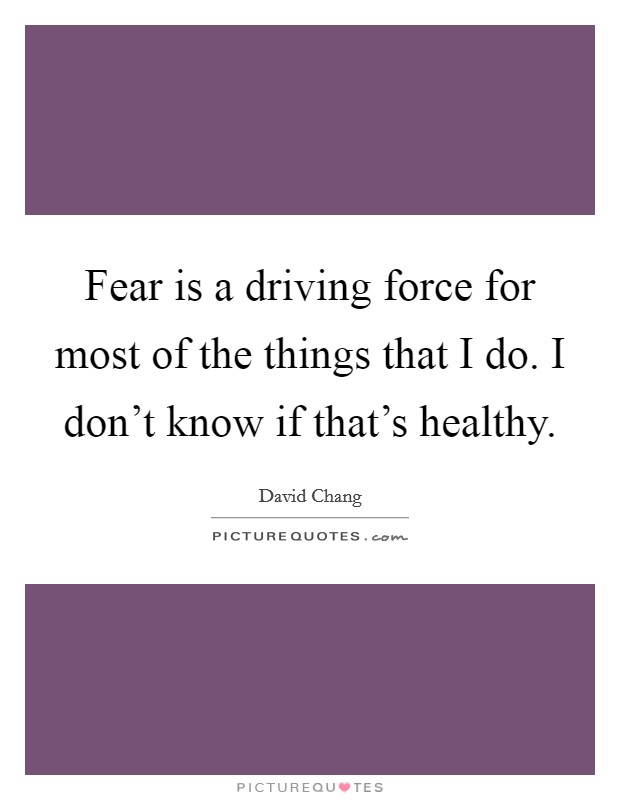 Fear is a driving force for most of the things that I do. I don't know if that's healthy. Picture Quote #1