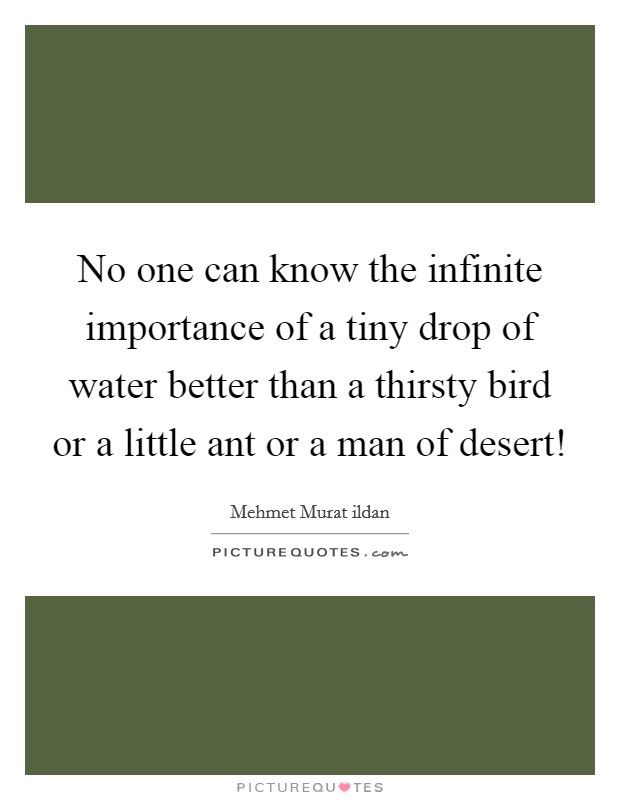 No one can know the infinite importance of a tiny drop of water better than a thirsty bird or a little ant or a man of desert! Picture Quote #1