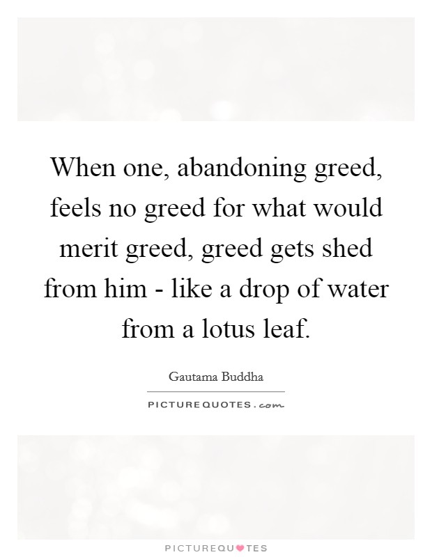 When one, abandoning greed, feels no greed for what would merit greed, greed gets shed from him - like a drop of water from a lotus leaf. Picture Quote #1