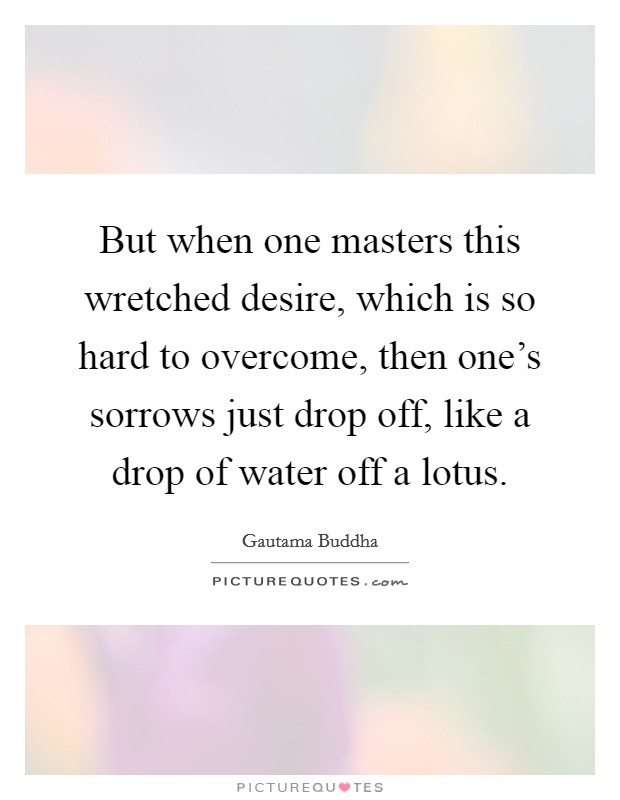 But when one masters this wretched desire, which is so hard to overcome, then one's sorrows just drop off, like a drop of water off a lotus. Picture Quote #1