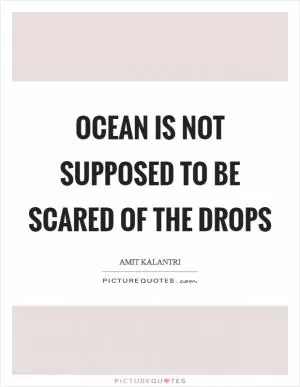 Ocean is not supposed to be scared of the drops Picture Quote #1