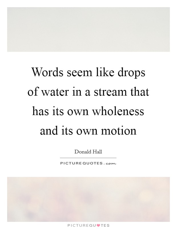 Words seem like drops of water in a stream that has its own wholeness and its own motion Picture Quote #1
