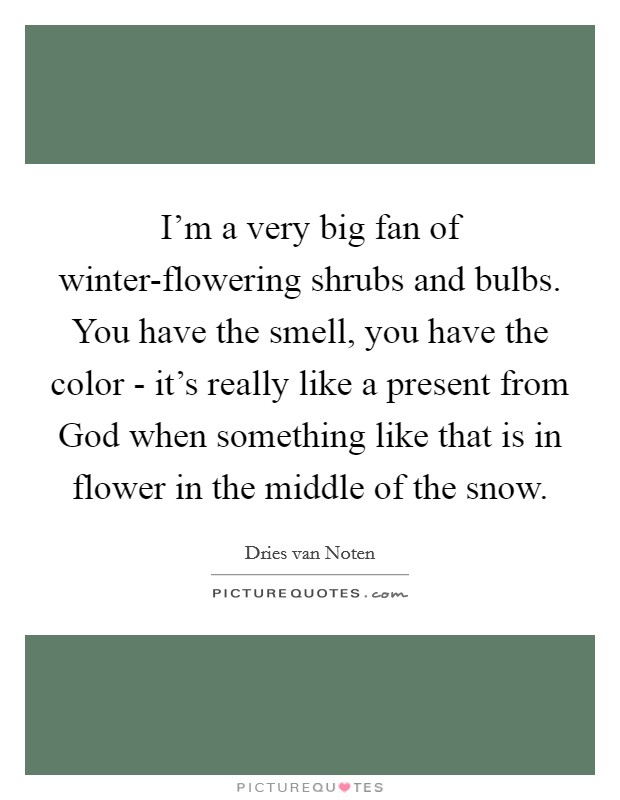 I'm a very big fan of winter-flowering shrubs and bulbs. You have the smell, you have the color - it's really like a present from God when something like that is in flower in the middle of the snow. Picture Quote #1