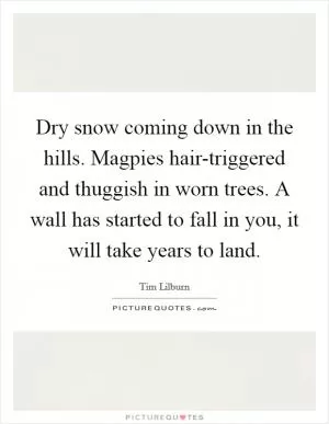Dry snow coming down in the hills. Magpies hair-triggered and thuggish in worn trees. A wall has started to fall in you, it will take years to land Picture Quote #1