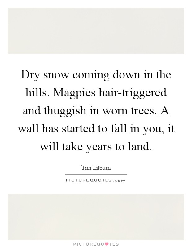 Dry snow coming down in the hills. Magpies hair-triggered and thuggish in worn trees. A wall has started to fall in you, it will take years to land. Picture Quote #1