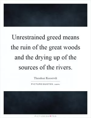 Unrestrained greed means the ruin of the great woods and the drying up of the sources of the rivers Picture Quote #1