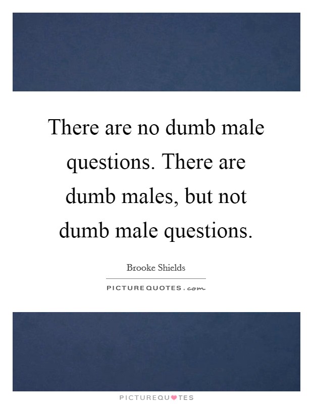 There are no dumb male questions. There are dumb males, but not dumb male questions. Picture Quote #1