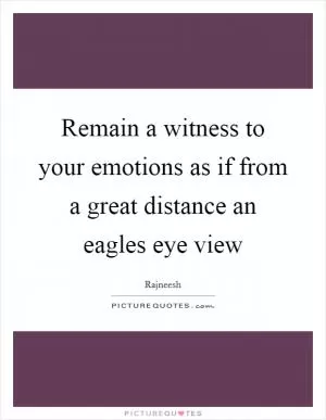 Remain a witness to your emotions as if from a great distance an eagles eye view Picture Quote #1