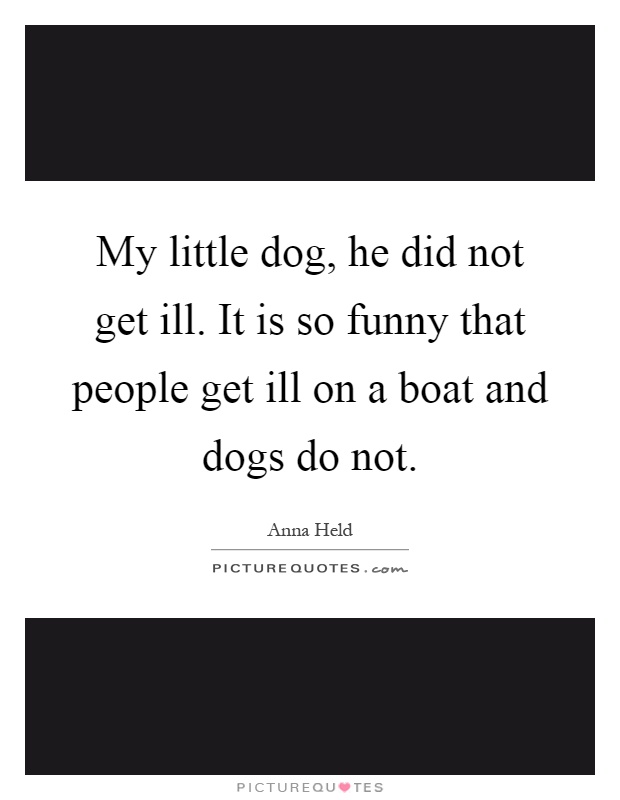 My little dog, he did not get ill. It is so funny that people get ill on a boat and dogs do not Picture Quote #1