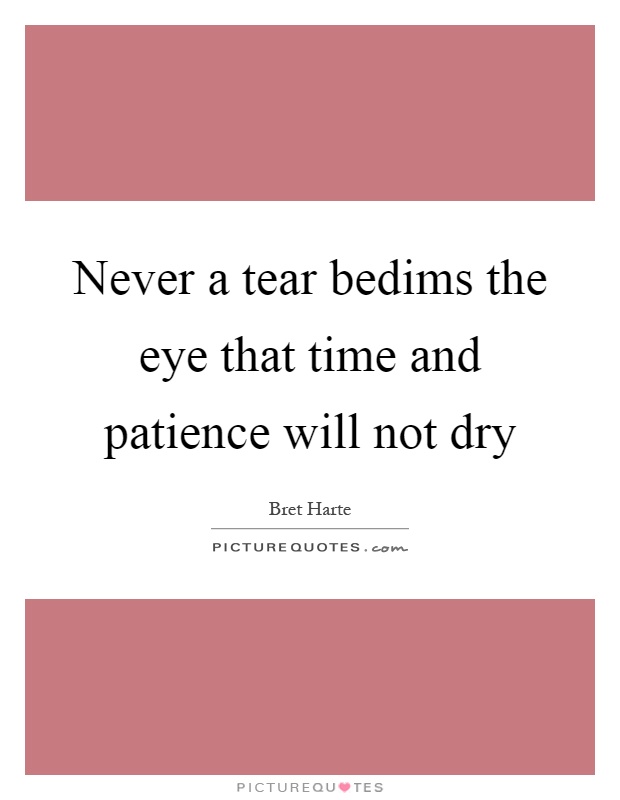 Never a tear bedims the eye that time and patience will not dry Picture Quote #1