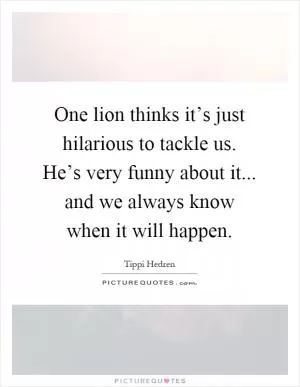 One lion thinks it’s just hilarious to tackle us. He’s very funny about it... and we always know when it will happen Picture Quote #1