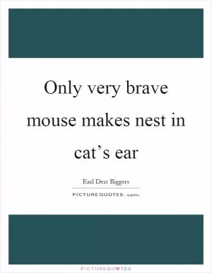 Only very brave mouse makes nest in cat’s ear Picture Quote #1