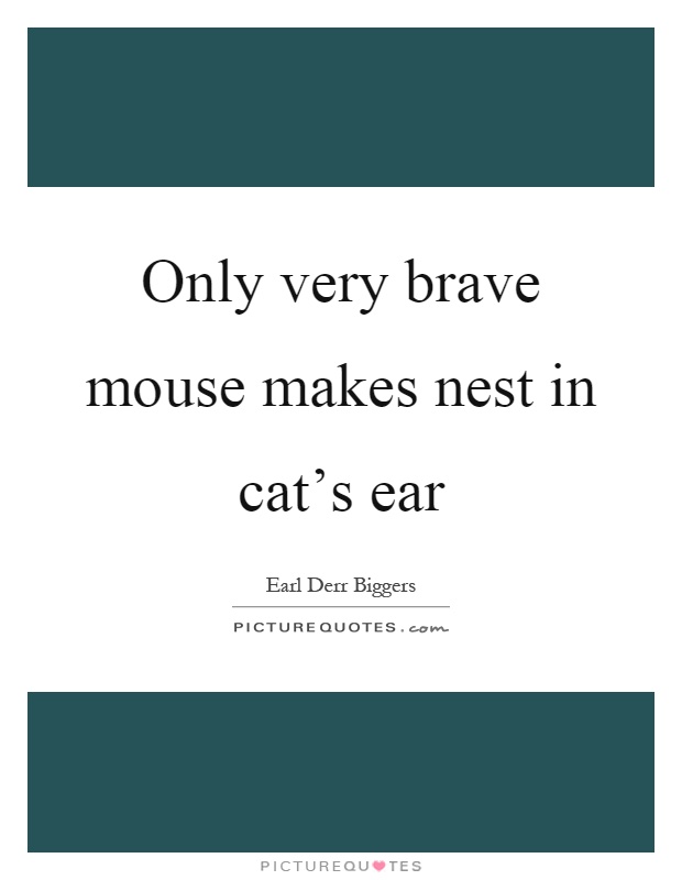 Only very brave mouse makes nest in cat's ear Picture Quote #1