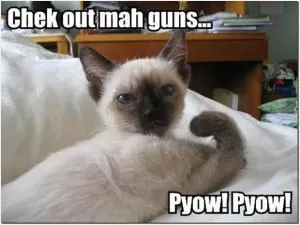 Check out mah guns... Pyow! Pyow! Picture Quote #1