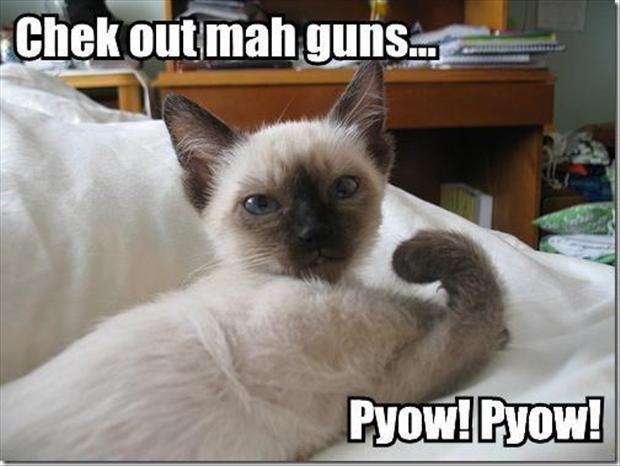 Check out mah guns... Pyow! Pyow! Picture Quote #1