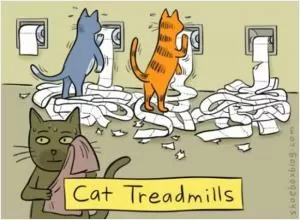Cat treadmills Picture Quote #1