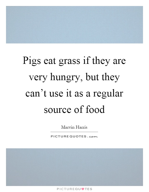 Pigs eat grass if they are very hungry, but they can't use it as a regular source of food Picture Quote #1