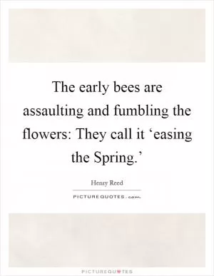 The early bees are assaulting and fumbling the flowers: They call it ‘easing the Spring.’ Picture Quote #1