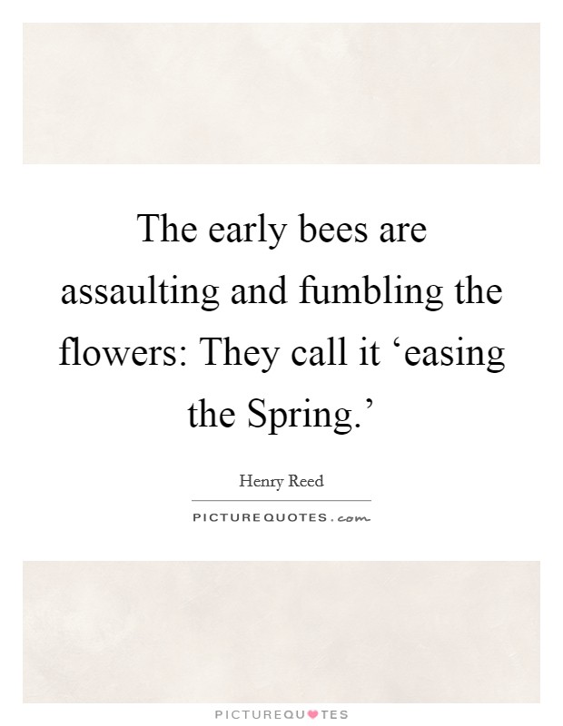 The early bees are assaulting and fumbling the flowers: They call it ‘easing the Spring.' Picture Quote #1