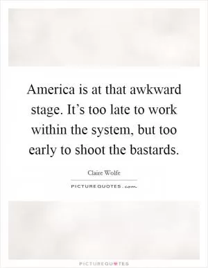 America is at that awkward stage. It’s too late to work within the system, but too early to shoot the bastards Picture Quote #1
