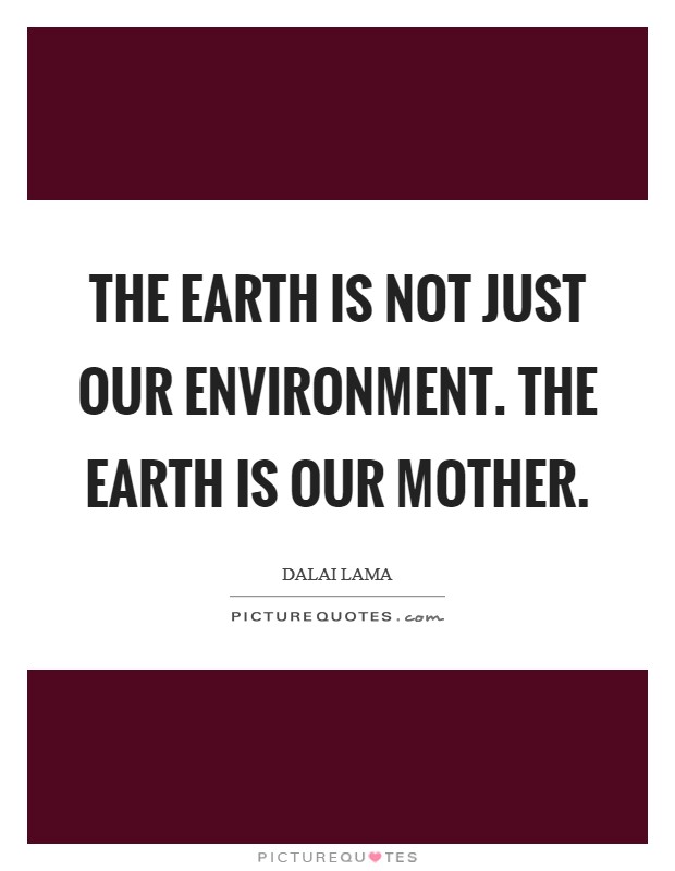 The earth is not just our environment. The earth is our mother. Picture Quote #1