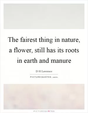 The fairest thing in nature, a flower, still has its roots in earth and manure Picture Quote #1