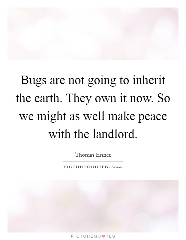 Bugs are not going to inherit the earth. They own it now. So we might as well make peace with the landlord. Picture Quote #1