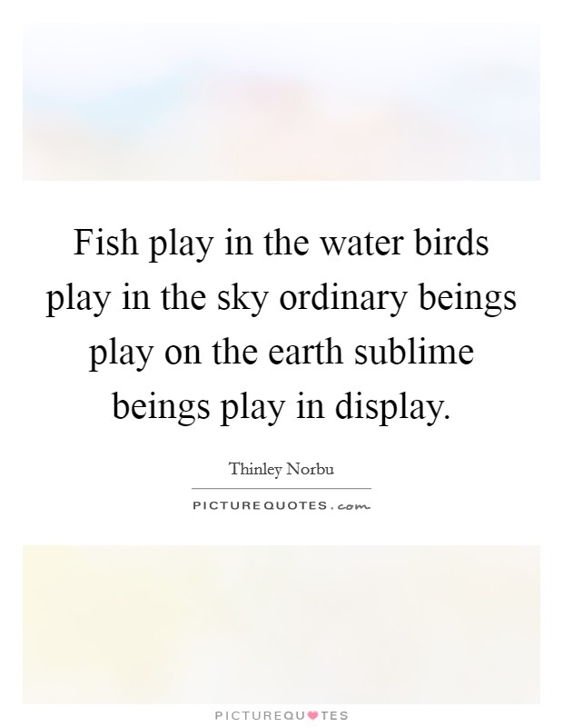 Fish play in the water birds play in the sky ordinary beings play on the earth sublime beings play in display. Picture Quote #1