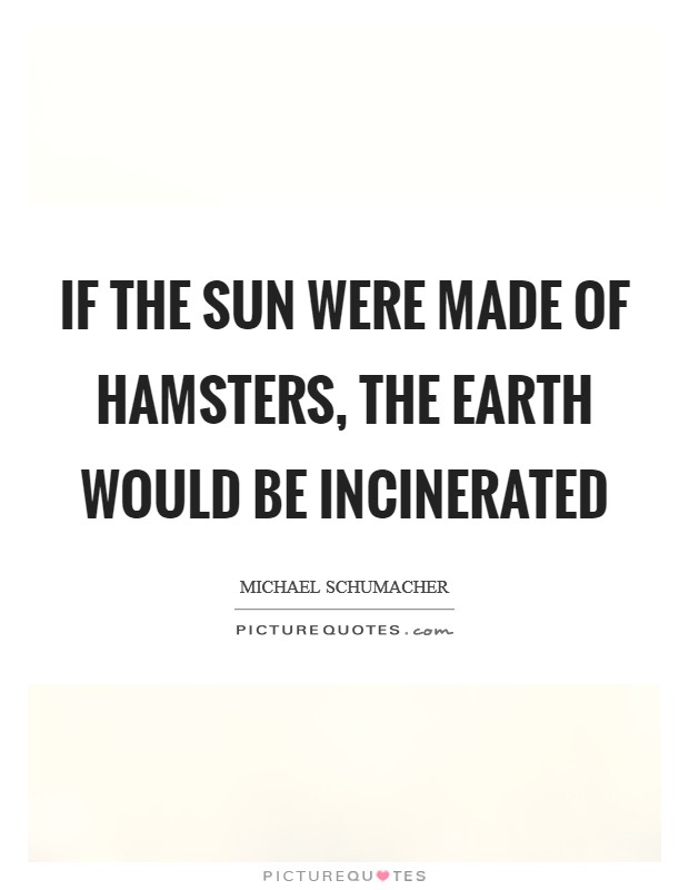 If the sun were made of hamsters, the earth would be incinerated Picture Quote #1