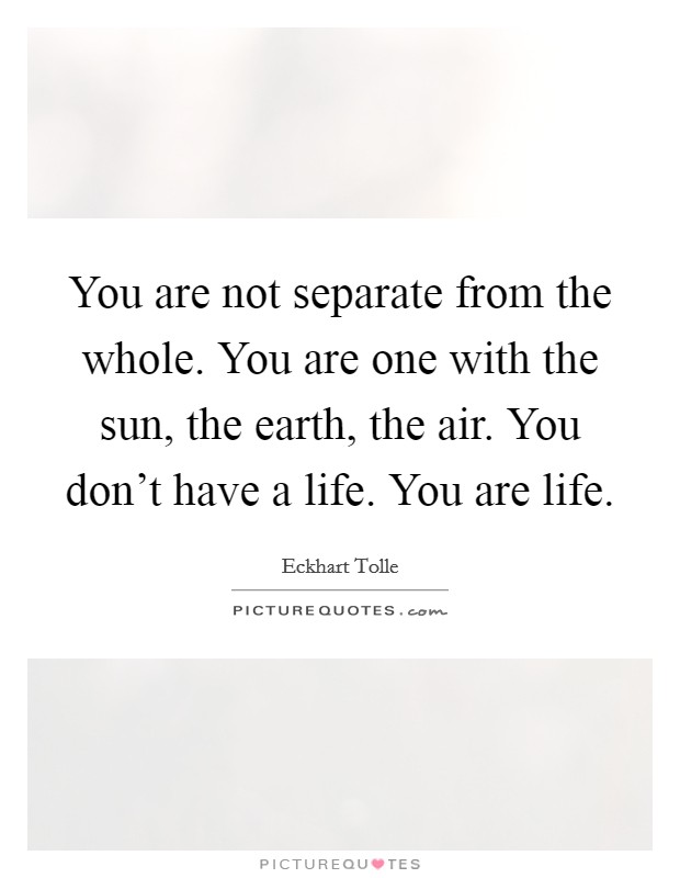 You are not separate from the whole. You are one with the sun, the earth, the air. You don't have a life. You are life. Picture Quote #1