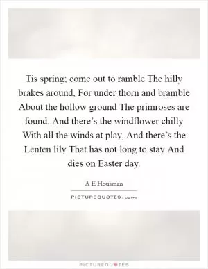 Tis spring; come out to ramble The hilly brakes around, For under thorn and bramble About the hollow ground The primroses are found. And there’s the windflower chilly With all the winds at play, And there’s the Lenten lily That has not long to stay And dies on Easter day Picture Quote #1