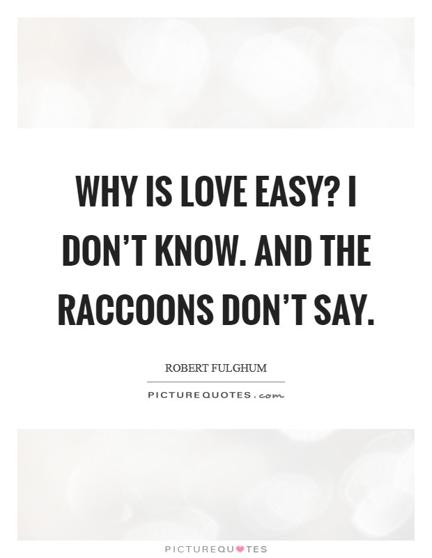 Why is love easy? I don't know. And the raccoons don't say. Picture Quote #1